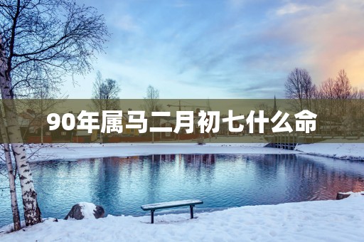 90年属马二月初七什么命