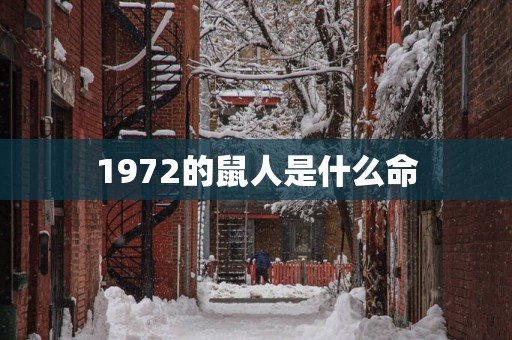1972的鼠人是什么命