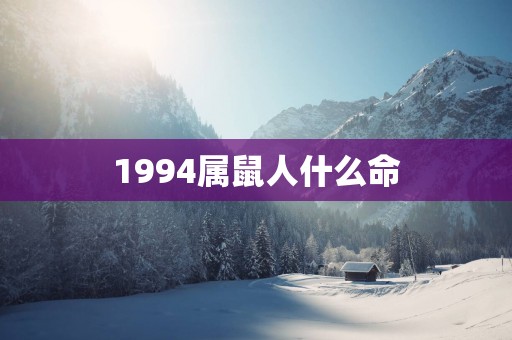 1994属鼠人什么命