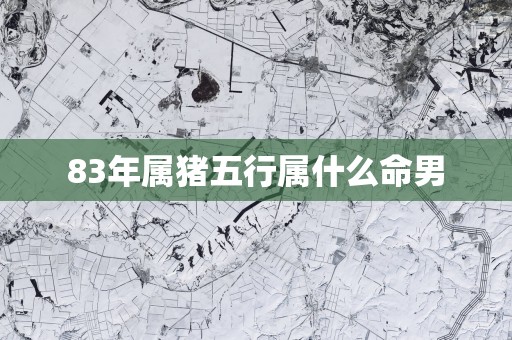 83年属猪五行属什么命男
