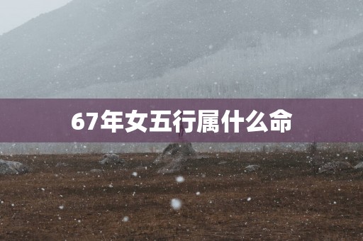 67年女五行属什么命
