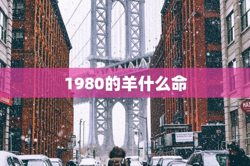 1980的羊什么命