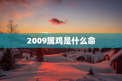 2009属鸡是什么命