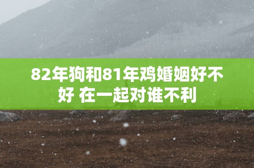 82年狗和81年鸡婚姻好不好 在一起对谁不利