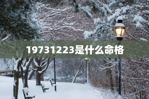 19731223是什么命格