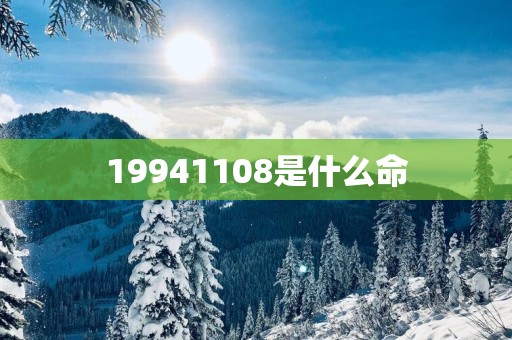 19941108是什么命