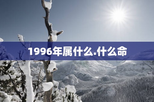 1996年属什么.什么命