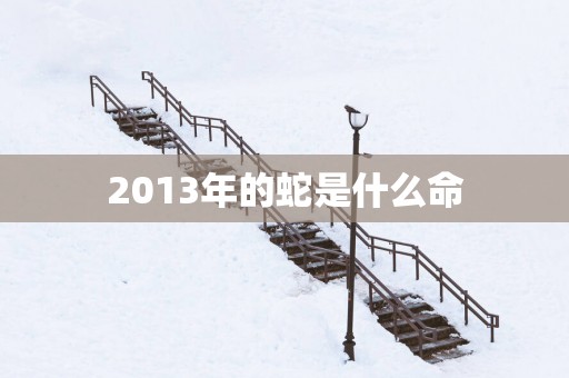 2013年的蛇是什么命