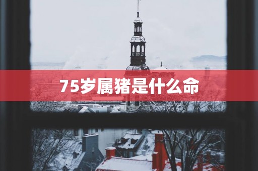 75岁属猪是什么命