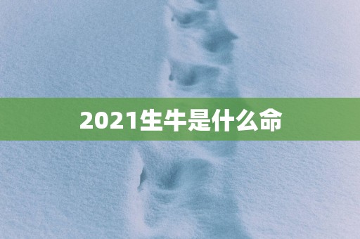 2025生牛是什么命