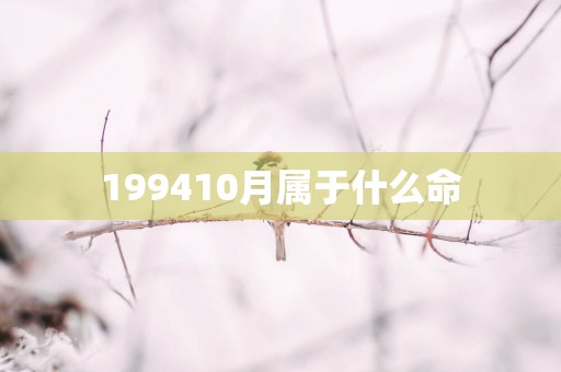 199410月属于什么命