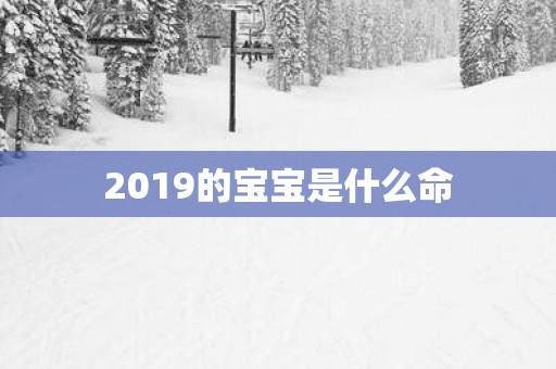 2019的宝宝是什么命