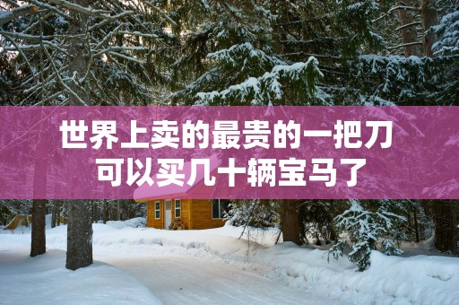 世界上卖的最贵的一把刀 可以买几十辆宝马了