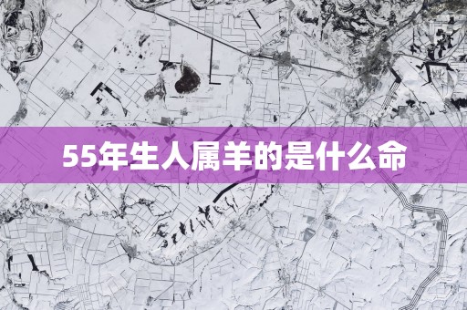 55年生人属羊的是什么命