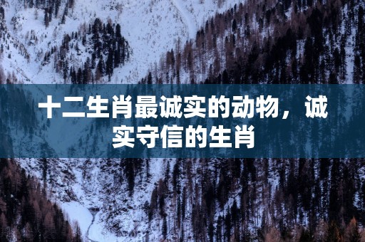 十二生肖最诚实的动物，诚实守信的生肖