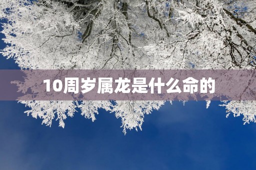 10周岁属龙是什么命的