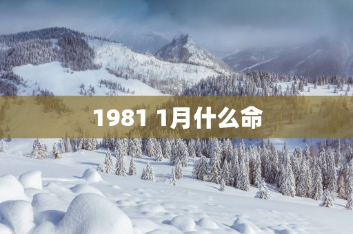 1981 1月什么命