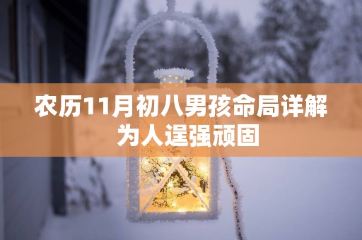 农历11月初八男孩命局详解  为人逞强顽固