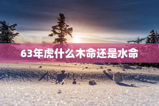 63年虎什么木命还是水命