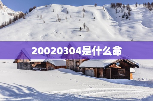 20020304是什么命