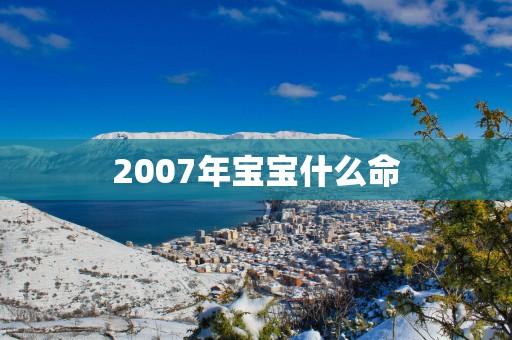 2007年宝宝什么命