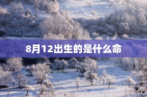 8月12出生的是什么命