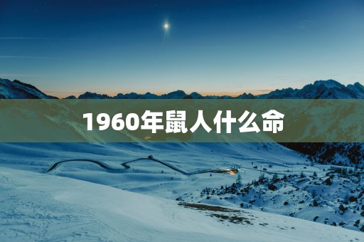 1960年鼠人什么命