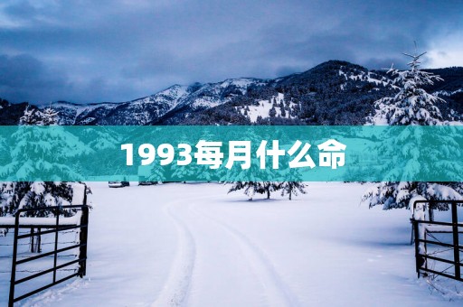 1993每月什么命