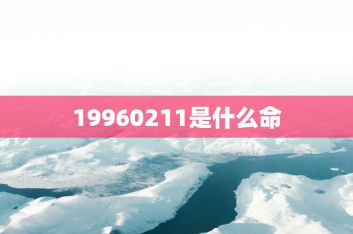 19960211是什么命