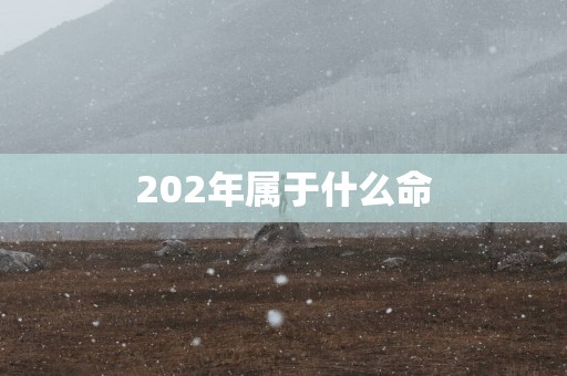 202年属于什么命
