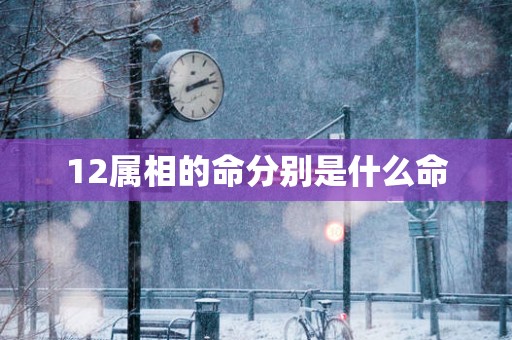12属相的命分别是什么命
