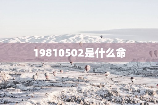 19810502是什么命