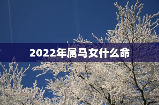 2025年属马女什么命