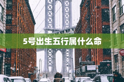 5号出生五行属什么命