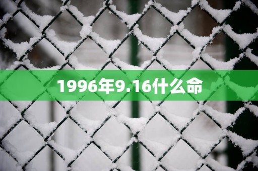 1996年9.16什么命