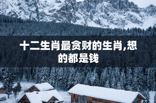 十二生肖最贪财的生肖,想的都是钱