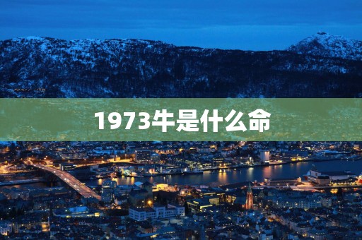 1973牛是什么命