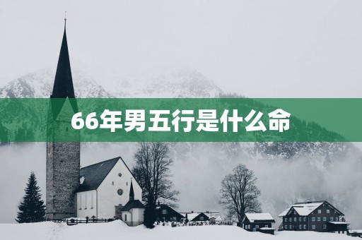 66年男五行是什么命