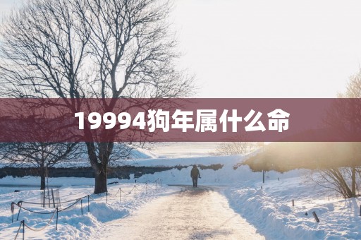 19994狗年属什么命