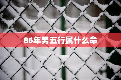 86年男五行属什么命