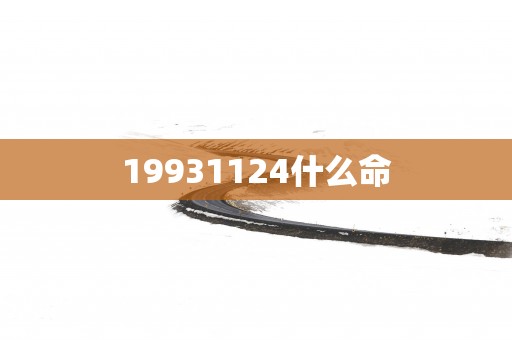 19931124什么命