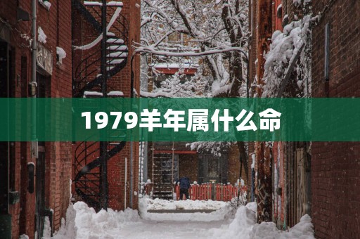 1979羊年属什么命