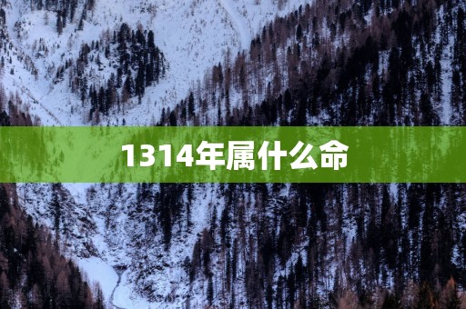 1314年属什么命