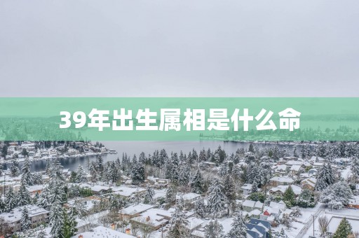 39年出生属相是什么命