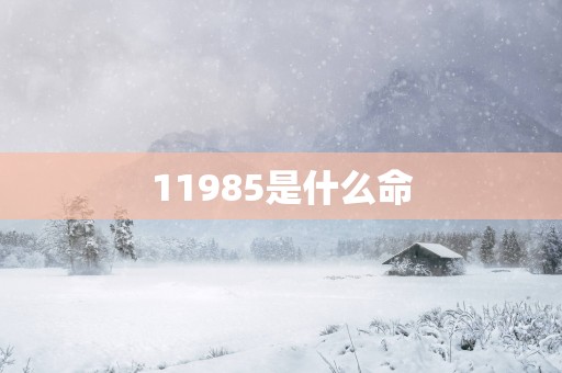 11985是什么命
