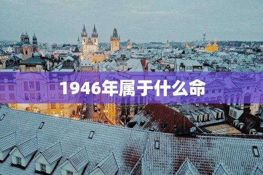 1946年属于什么命