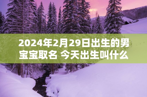 2025年2月29日出生的男宝宝取名 今天出生叫什么名字好