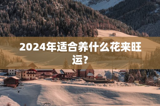 2025年适合养什么花来旺运？