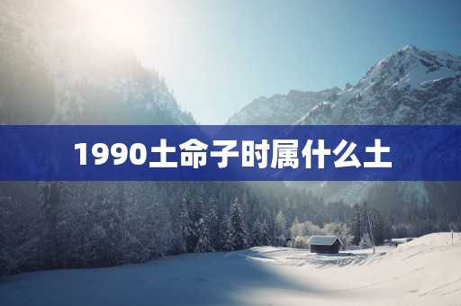 1990土命子时属什么土