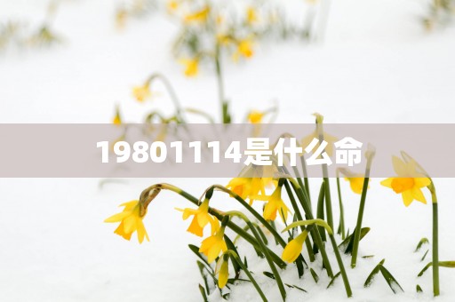 19801114是什么命